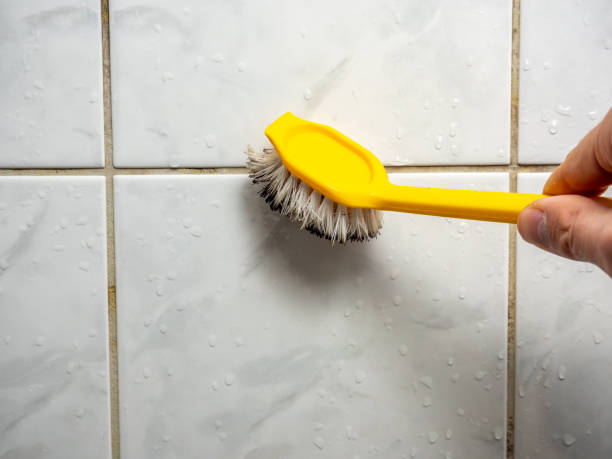 Best Certified Mold Removal  in Eaton, CO