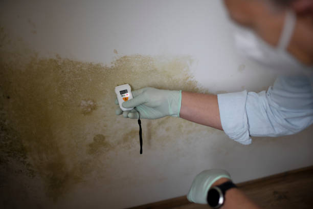 Best Professional Mold Removal  in Eaton, CO